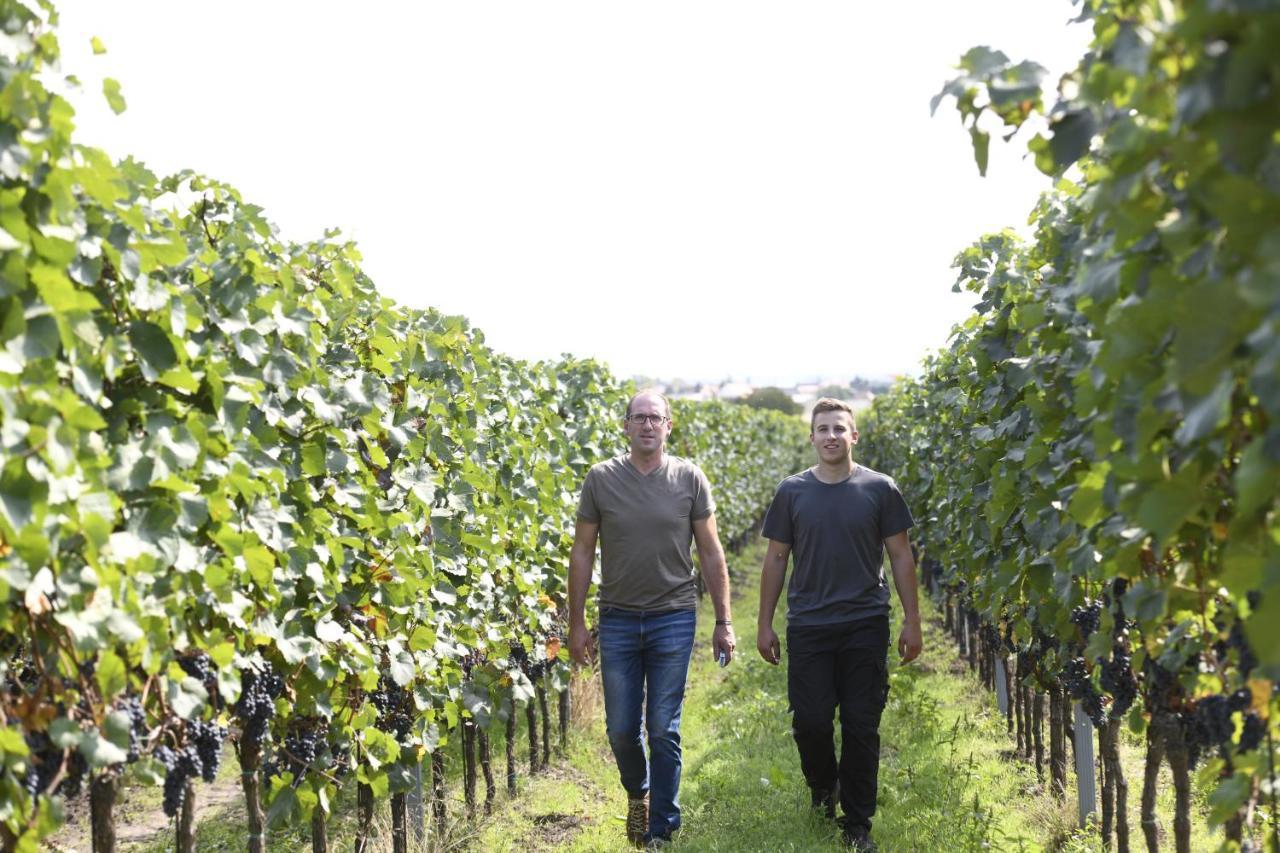 Winzerhof Kiss Hotel Jois Bagian luar foto
