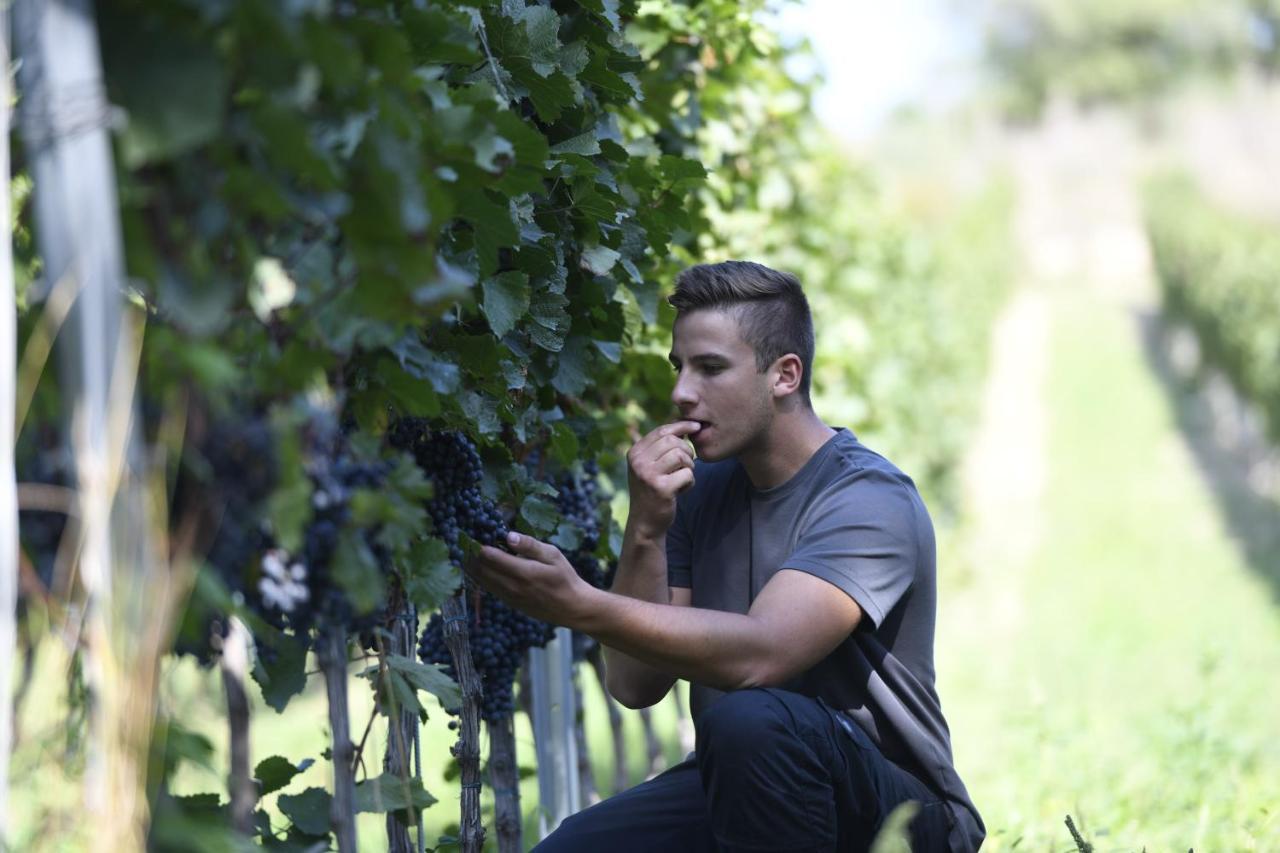 Winzerhof Kiss Hotel Jois Bagian luar foto